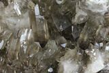 Tall, Free-Standing Smoky Quartz Cluster - Brazil #137843-6